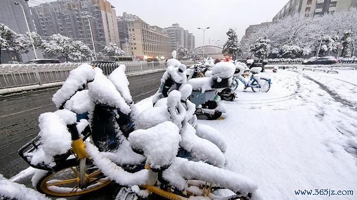 1月22日,长沙大雪纷飞,积雪最深处达10厘米。视觉中国 图